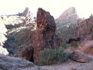 photo thumbnail #6