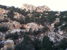 photo thumbnail #5