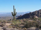photo thumbnail #8