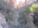 photo thumbnail #5