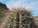 photo thumbnail #3