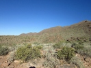 photo thumbnail #3