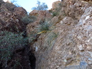 photo thumbnail #4