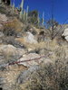 photo thumbnail #2