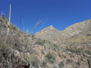 photo thumbnail #3