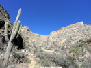 photo thumbnail #4
