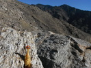 photo thumbnail #12