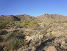 photo thumbnail #4