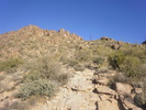 photo thumbnail #6
