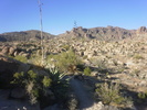 photo thumbnail #13