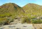 photo thumbnail #3