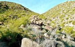 photo thumbnail #4