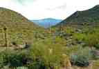 photo thumbnail #6