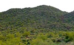 photo thumbnail #8