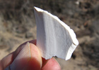 photo thumbnail #7