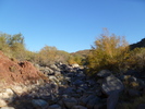 photo thumbnail #6