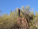 photo thumbnail #9