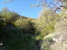 photo thumbnail #15