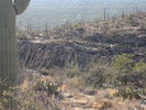 photo thumbnail #13