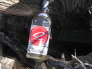 photo thumbnail #8