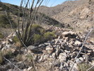 photo thumbnail #10