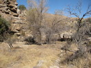 photo thumbnail #11