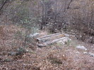 recent photo