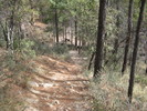 photo thumbnail #7
