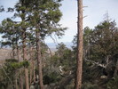 photo thumbnail #8