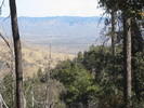 photo thumbnail #11