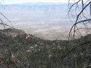 photo thumbnail #15