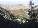 recent photo