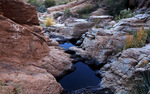 photo thumbnail #13