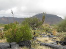 photo thumbnail #7