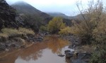photo thumbnail #1