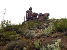 photo thumbnail #6