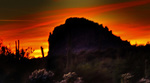 photo thumbnail #10