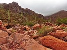 photo thumbnail #5
