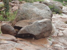 photo thumbnail #7