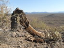 photo thumbnail #3