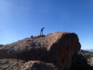 photo thumbnail #7