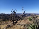 photo thumbnail #8