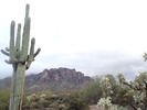 photo thumbnail #12