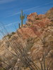 photo thumbnail #2
