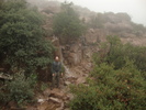 photo thumbnail #2