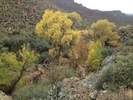 photo thumbnail #10