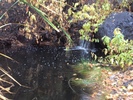 photo thumbnail #11