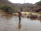 photo thumbnail #12