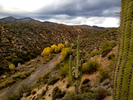 photo thumbnail #3