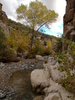photo thumbnail #13
